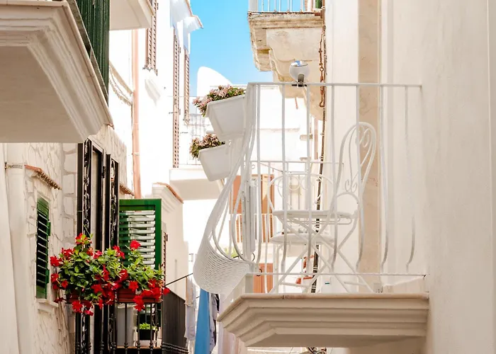 לינה וארוחת בוקר Volta